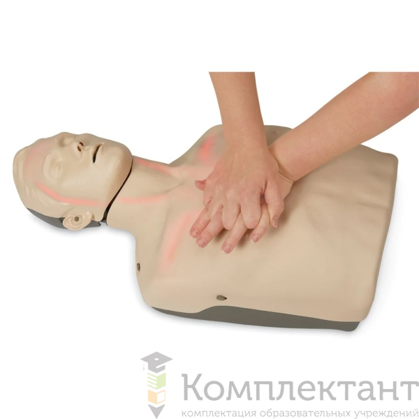 Тренажер СЛР с индикацией движения крови и ПО