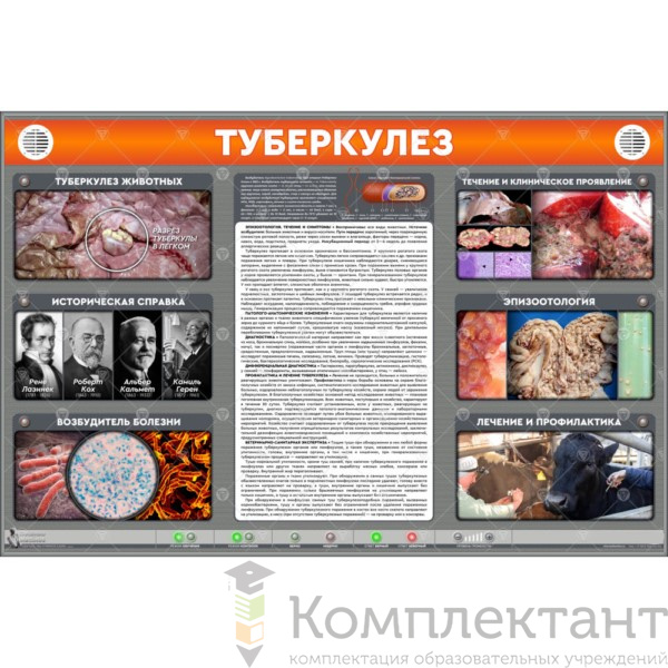 Электрифицированный стенд “Туберкулез”