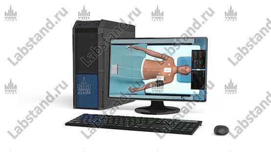 Виртуальный тренажер для отработки навыков аускультации (VR версия) «PL- AuscTraining VR ;