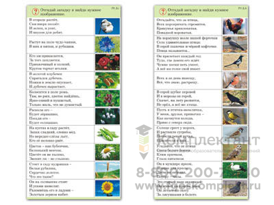 Комплект карточек (10) Природа