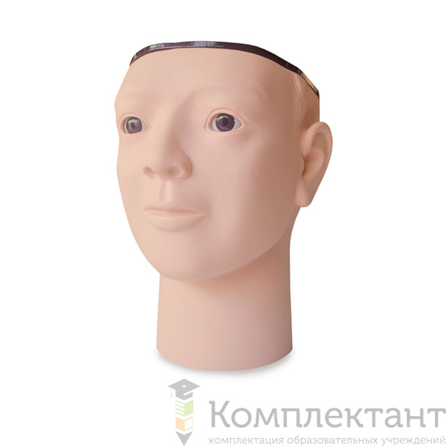 Тренажер обследования глазного дна