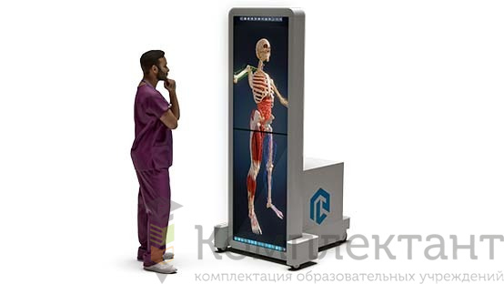 Интерактивный анатомический стол PL-Anatomy Tab Duo (Пара)  (полноростовой поворотный)