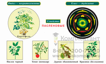Агро-инженерный комплекс Инноватор 