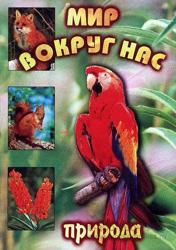 Мир вокруг нас (для 1 класса) DVD