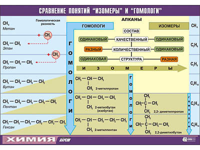 Таблица демонстрационная Сравнение понятий изомер и гомолог (винил 70x100)