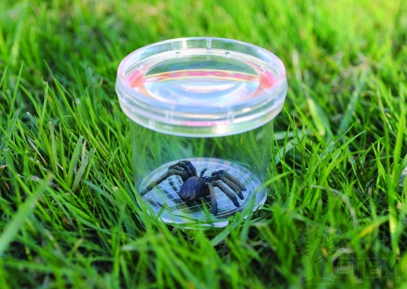 Баночка для изучения насекомых GeoSafari (ГеоСафари) ® Jr. Bug Viewer (Набор юного энтомолога) 