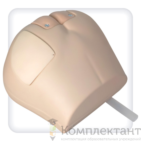 Тренажер постановки клизмы, внутримышечных инъекций, обработки стом