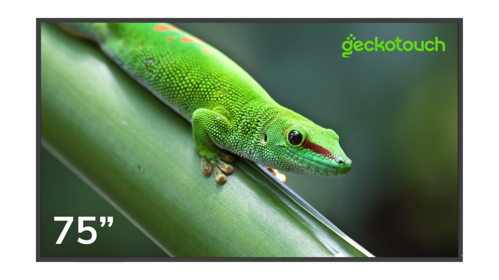 Профессиональный дисплей Geckotouch 75DF