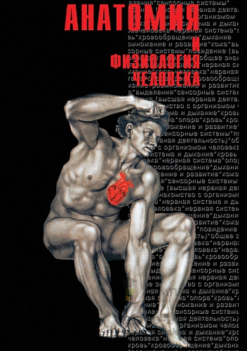 DVD Анатомия -2