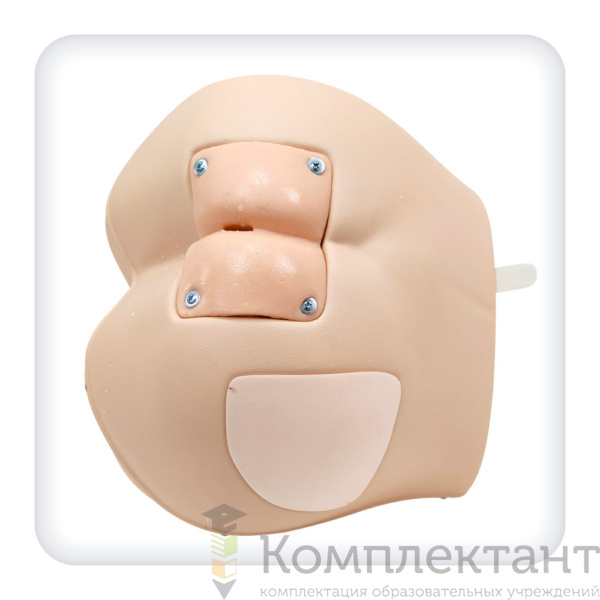 Тренажер постановки клизмы, внутримышечных инъекций, обработки стом