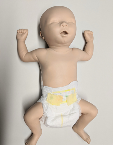 Виртуальный педиатрический симулятор УЗИ — BabyWorks
