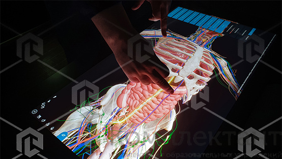 Интерактивный анатомический стол PL-Anatomy Tab Duo (Пара)  (полноростовой поворотный)