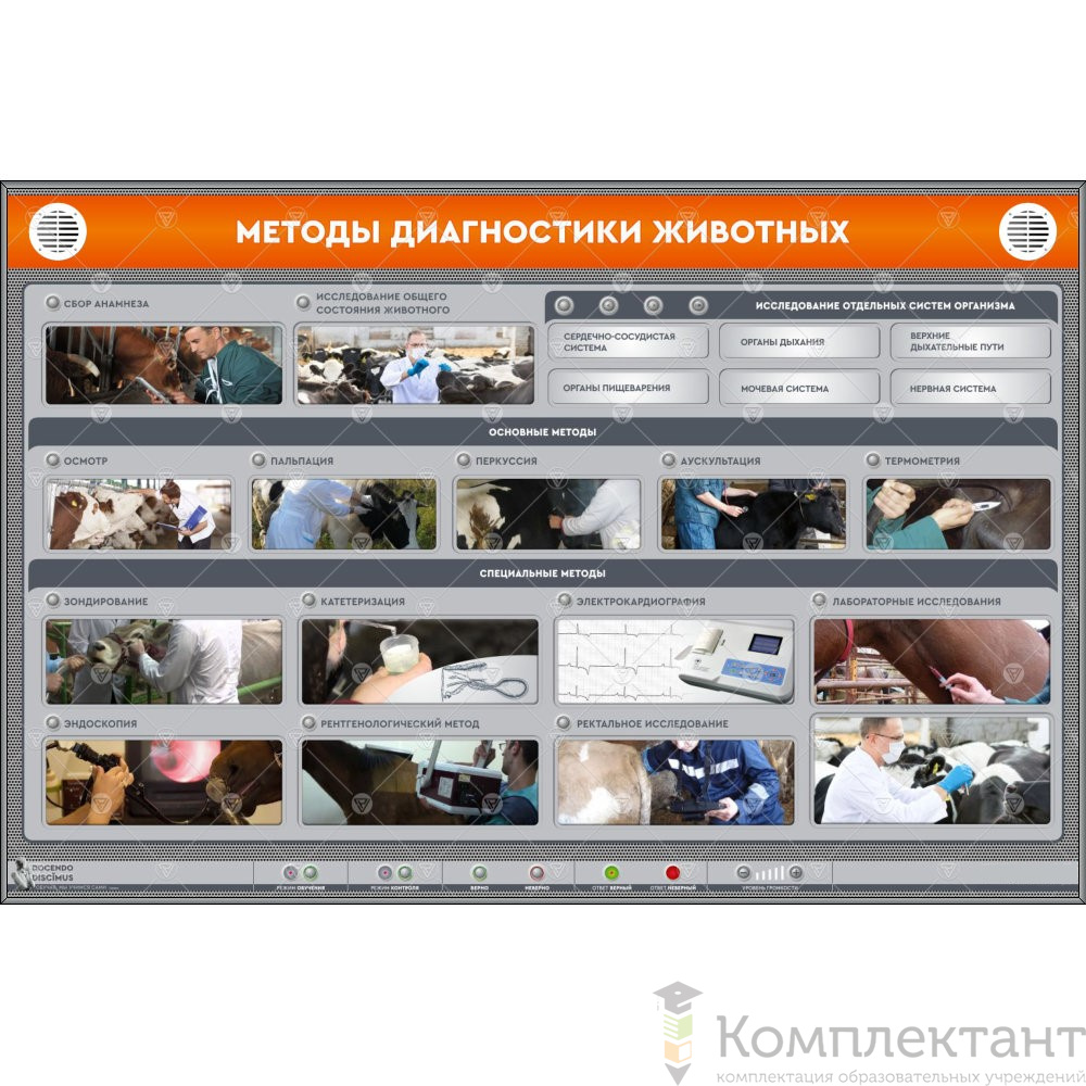 Электрифицированный стенд “Методы диагностики животных”