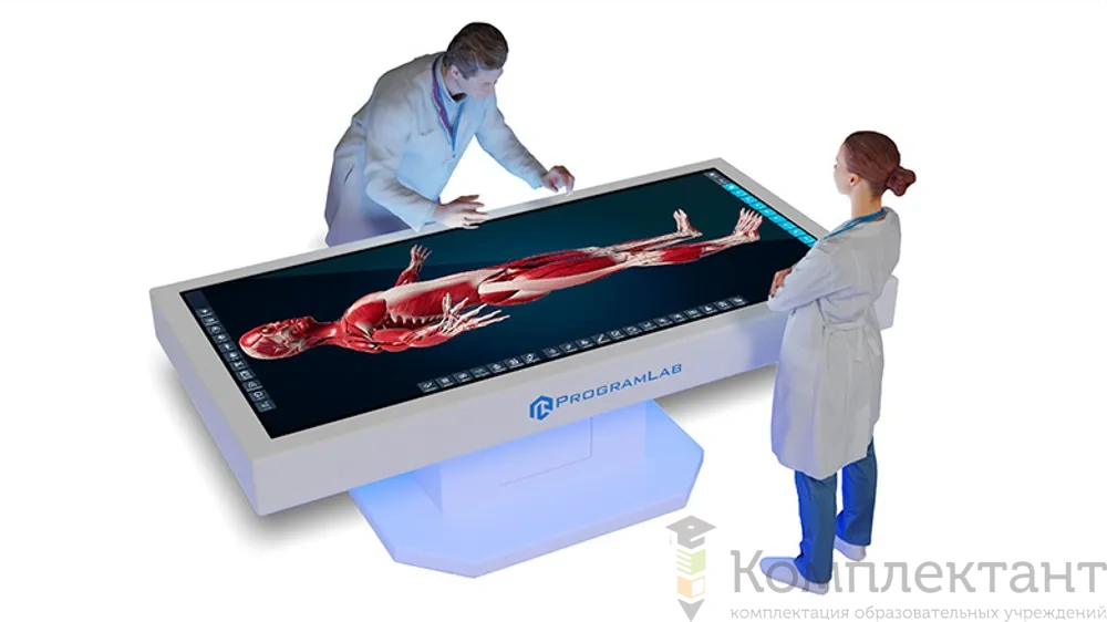 Интерактивный анатомический стол PL-Anatomy Tab Duo (Пара)  5k с одним сверхширокоформатным экраном, металлический