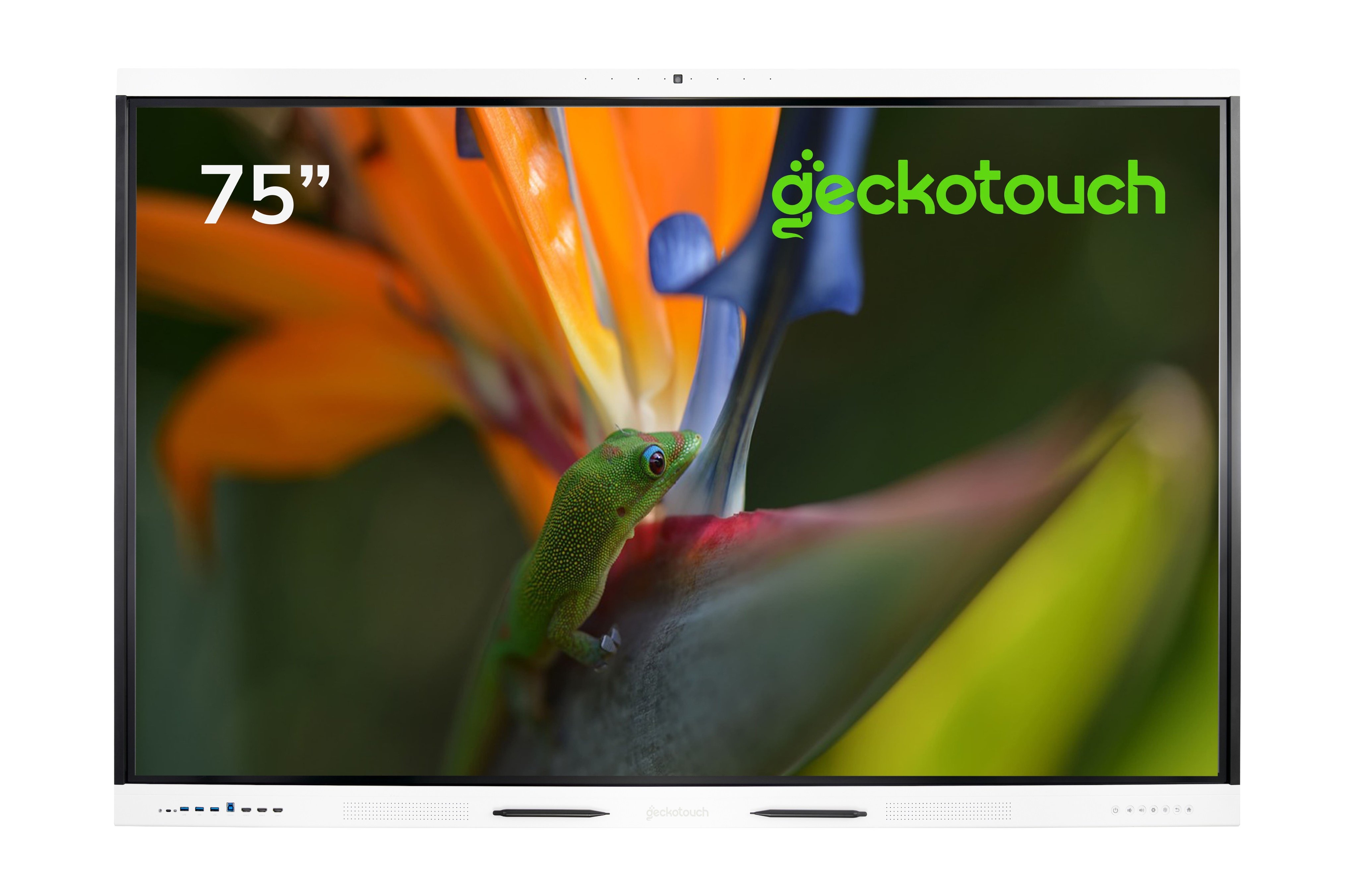 Интерактивная панель для школы Минпромторг Geckotouch 75RK