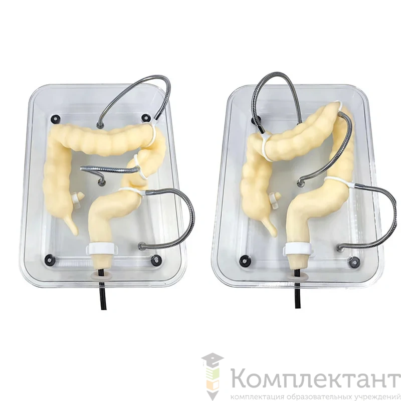 Тренировочная модель колоноскопии 