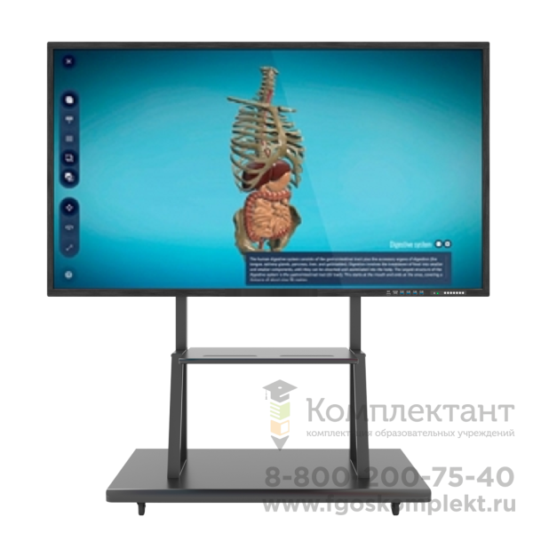 Интерактивный программно-аппаратный комплекс мобильный 65" с 3D программным обеспечением для школьных учреждений:  900 3D моделей Биология, Химия, Физика, География с мобильной стойкой