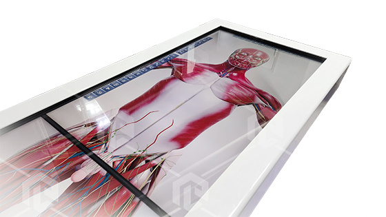 Интерактивный анатомический стол PL-Anatomy Tab Duo (Пара)  (полноростовой 50'' металл-пластик-МДФ)