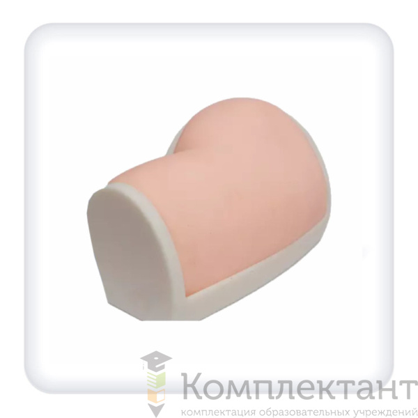 Симулятор для выполнения блокады седалищного нерва под УЗ-контролем