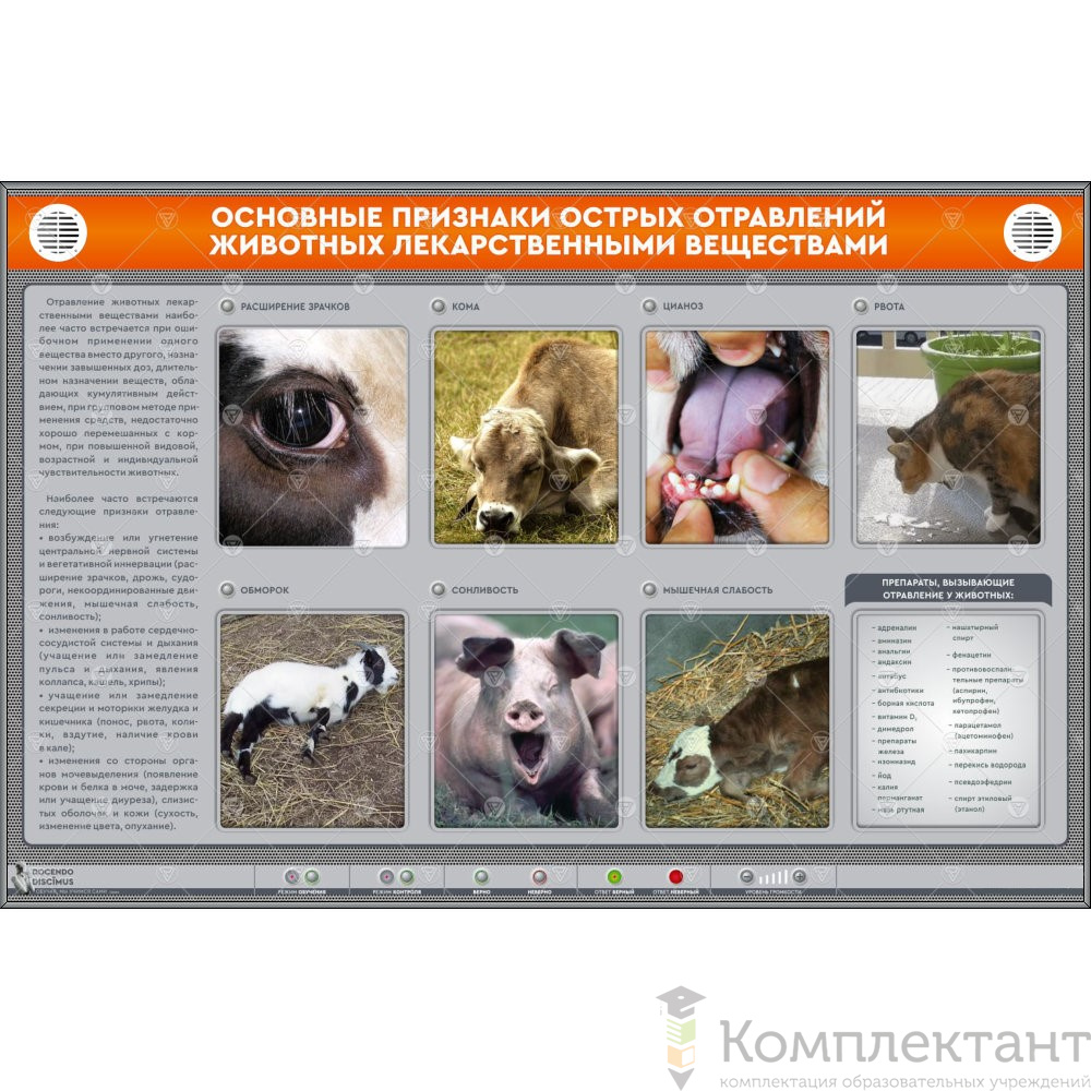 Электрифицированный стенд “Основные признаки острых отравлений”