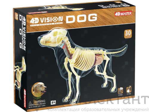 Анатомическая модель 4D Vision (4D-видение) «Собака» (Полный скелет)