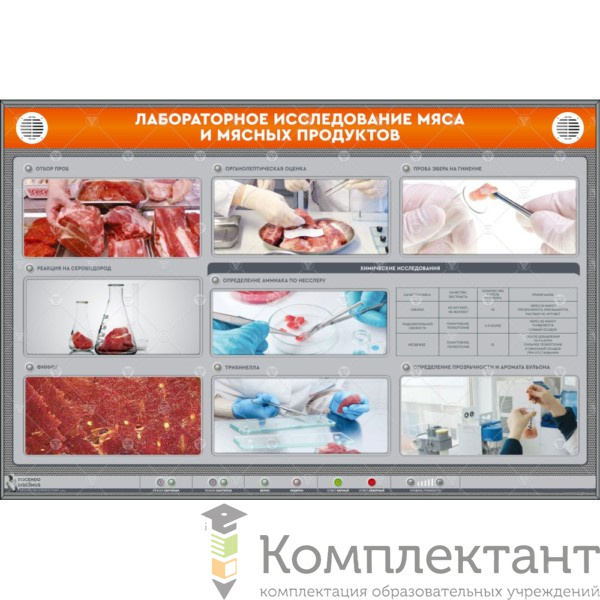 Электрифицированный стенд “Лабораторное исследование мяса и мясных продуктов”